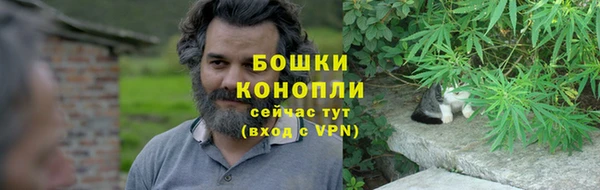 индика Лихославль