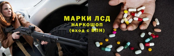 индика Лихославль