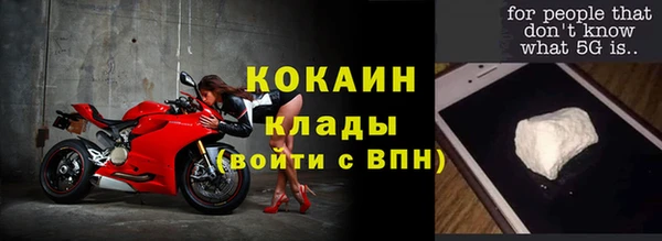 индика Лихославль