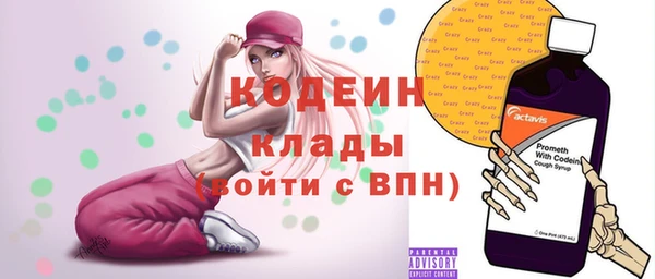 индика Лихославль