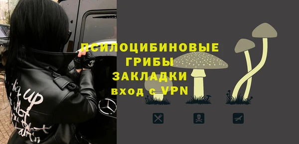 индика Лихославль