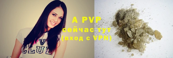 соль ск Липки
