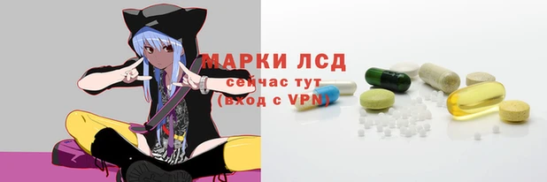 индика Лихославль