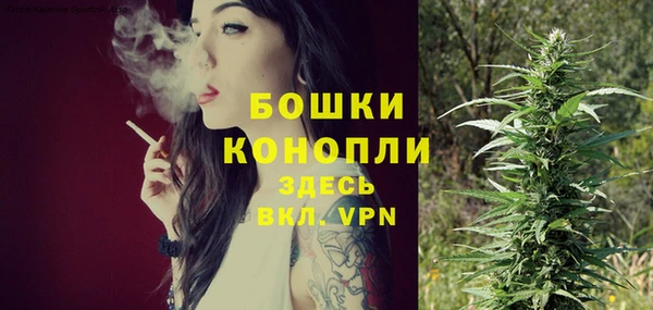 соль ск Липки