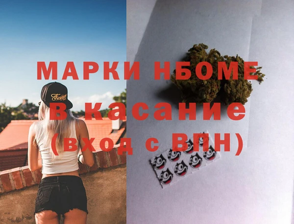 индика Лихославль