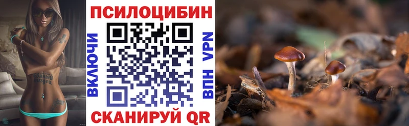 Псилоцибиновые грибы MAGIC MUSHROOMS  Купить закладки  Лагань 